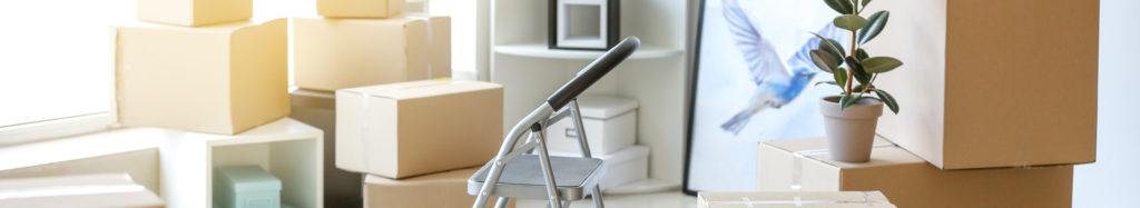 Residential movers carrying household furniture from a home in Gauteng