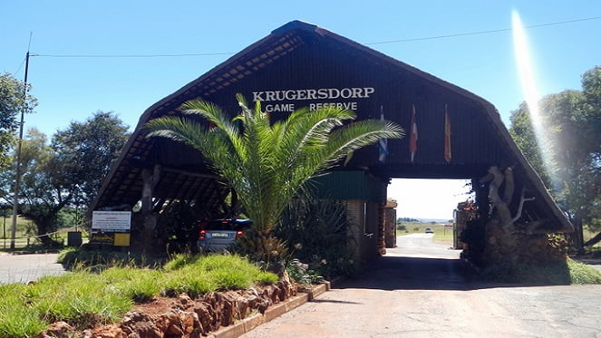 Krugersdorp Furniture Removals
